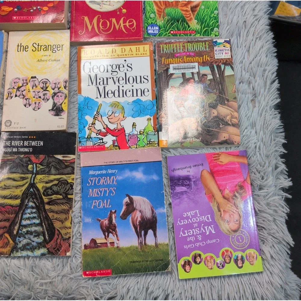 Lot of 41 Books Homeschool Young Adults YA PRE-Teen Youth Children Mix